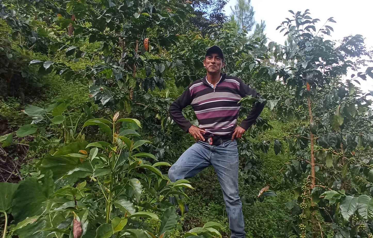 Peru Erapata